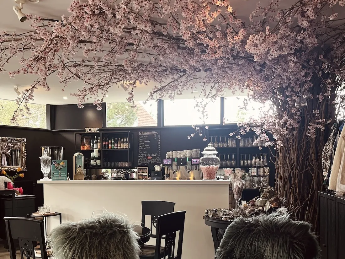 Der Tresen im TaraMisu unter einem Dach aus rosa Kirschblüten